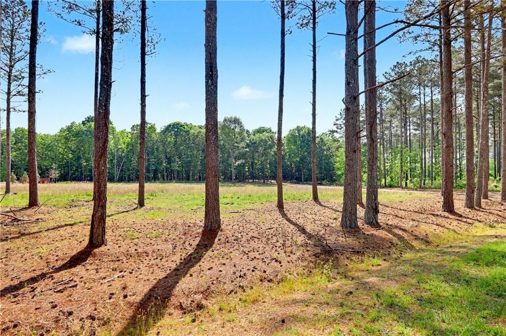single family residence under contract at 1110 Locklin Road, Monroe, GA 30655 — photo 9