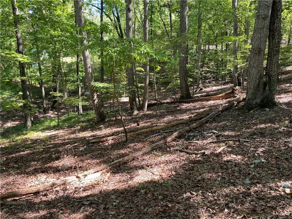 unimproved land for sale at 0 John Ingram Road, Silver Creek, GA 30173 — photo 3