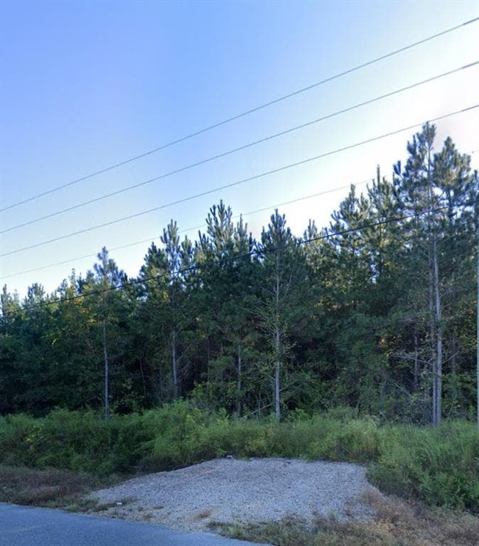 unimproved land for sale at 000 WILLIE VARNUM Road, Dothan, AL 36301 — photo 1 of 8