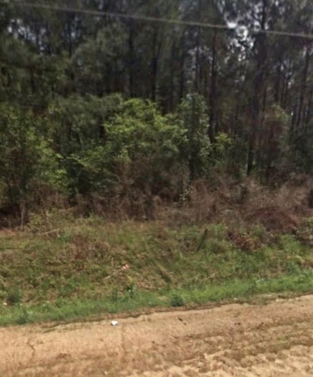 unimproved land for sale at 000 WILLIE VARNUM Road, Dothan, AL 36301 — photo 2