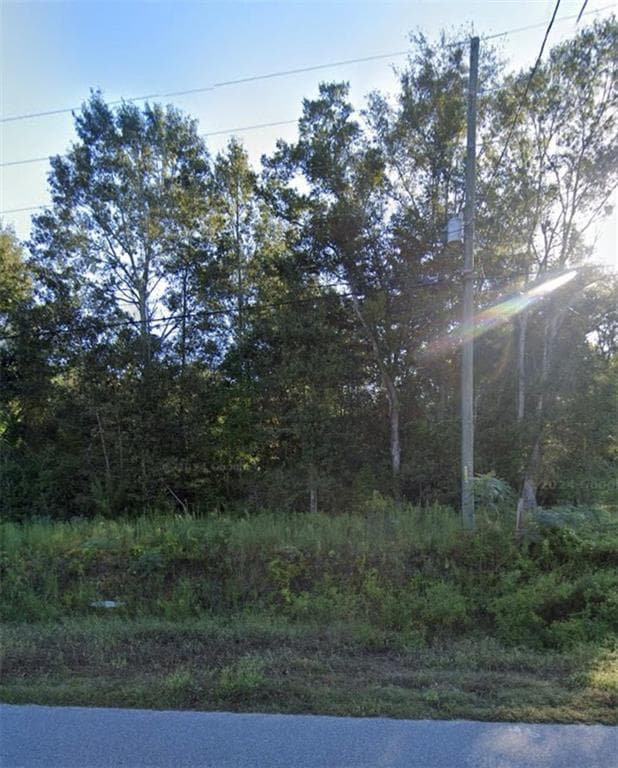 unimproved land for sale at 000 WILLIE VARNUM Road, Dothan, AL 36301 — photo 3