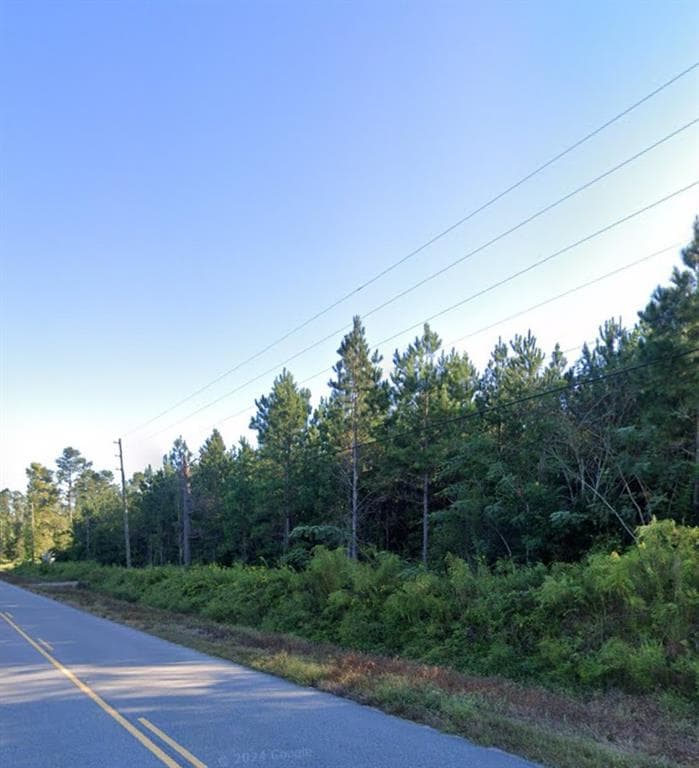 unimproved land for sale at 000 WILLIE VARNUM Road, Dothan, AL 36301 — photo 4