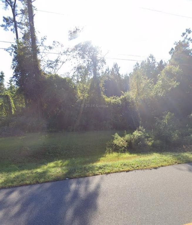 unimproved land for sale at 000 WILLIE VARNUM Road, Dothan, AL 36301 — photo 5