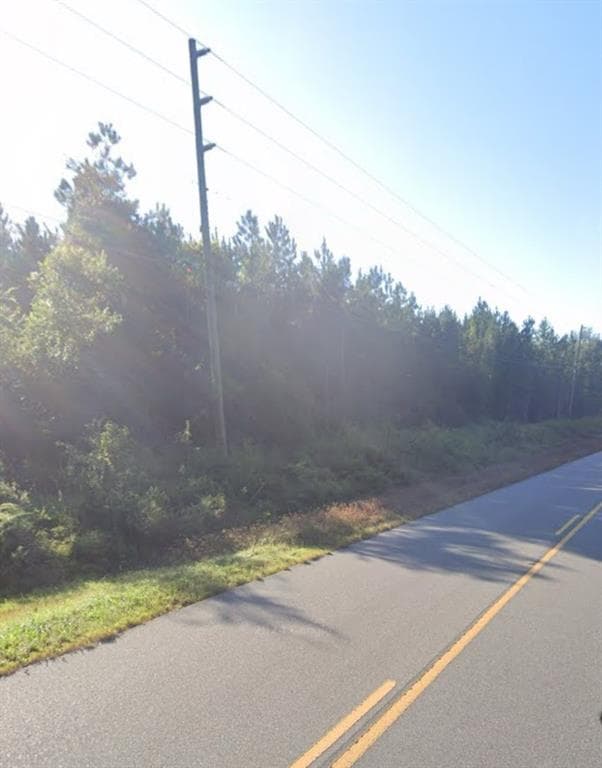 unimproved land for sale at 000 WILLIE VARNUM Road, Dothan, AL 36301 — photo 6