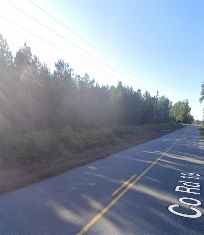 unimproved land for sale at 000 WILLIE VARNUM Road, Dothan, AL 36301 — photo 7