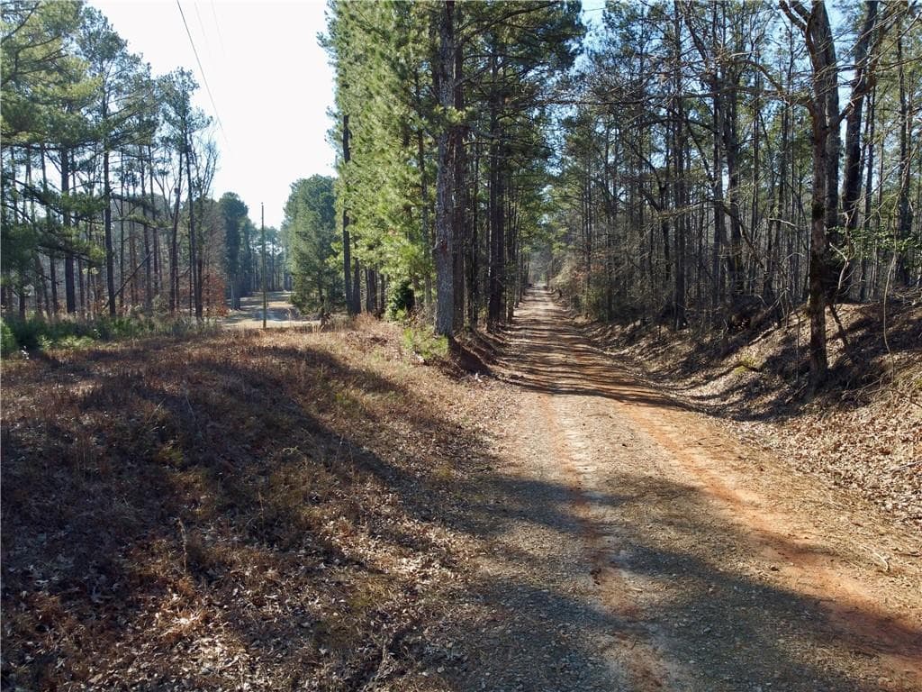 unimproved land for sale at 300 Old Social Circle Road, Social Circle, GA 30025 — photo 5
