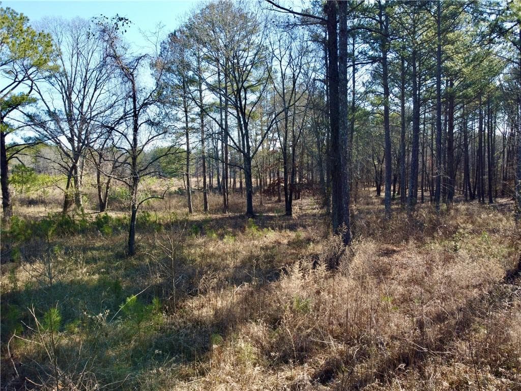 unimproved land for sale at 300 Old Social Circle Road, Social Circle, GA 30025 — photo 6