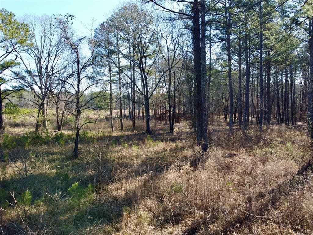 unimproved land for sale at 300 Old Social Circle Road, Social Circle, GA 30025 — photo 7