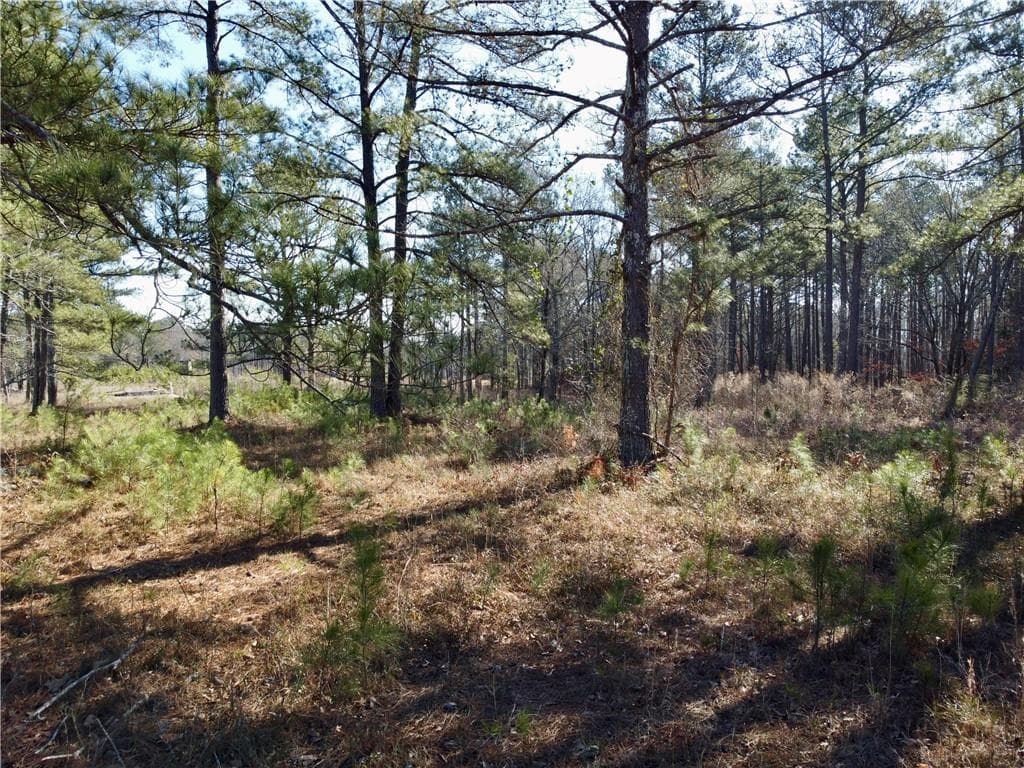 unimproved land for sale at 300 Old Social Circle Road, Social Circle, GA 30025 — photo 8