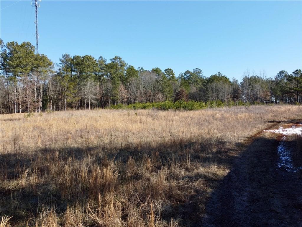 unimproved land for sale at 300 Old Social Circle Road, Social Circle, GA 30025 — photo 9