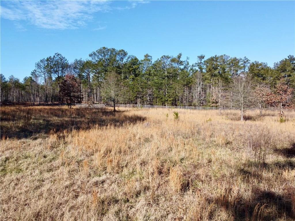 unimproved land for sale at 300 Old Social Circle Road, Social Circle, GA 30025 — photo 10