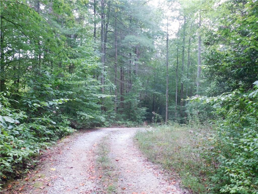 3 bedroom, 3 bathroom, 2,008 sq ft single family residence for sale at 380 David Drive, Tiger, GA 30576 — photo 3