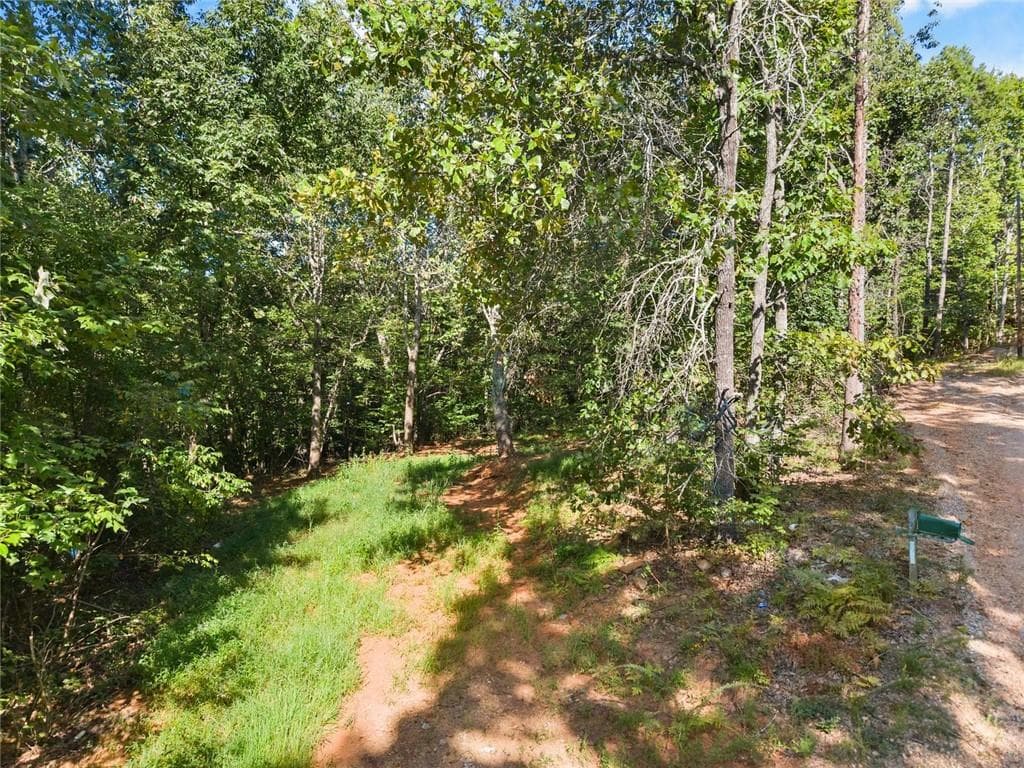 other for sale at 375 Mountain Crest Drive, Clarkesville, GA 30523 — photo 2