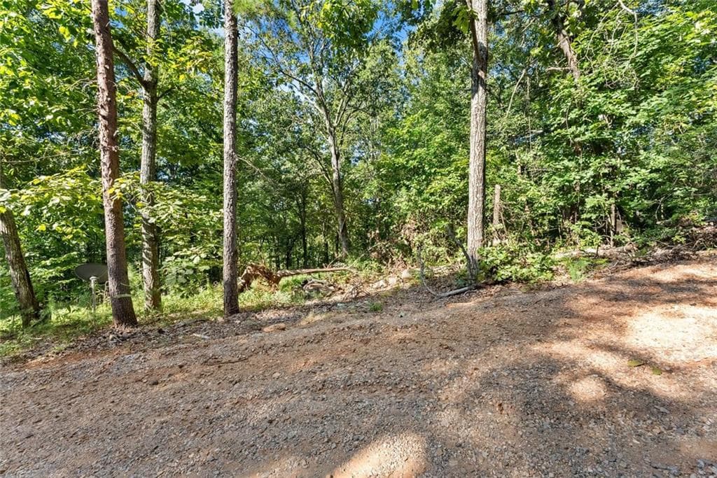 other for sale at 375 Mountain Crest Drive, Clarkesville, GA 30523 — photo 4