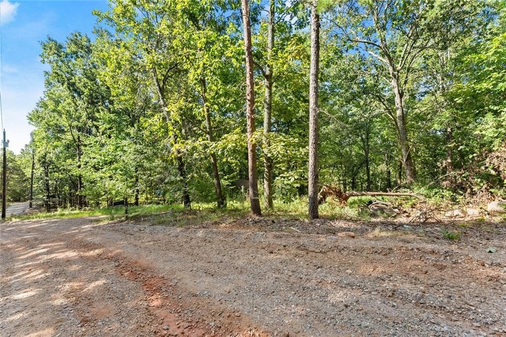 other for sale at 375 Mountain Crest Drive, Clarkesville, GA 30523 — photo 5