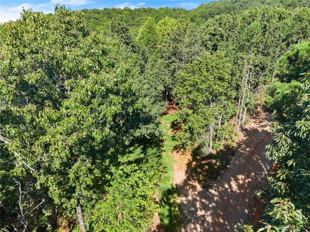 other for sale at 375 Mountain Crest Drive, Clarkesville, GA 30523 — photo 6
