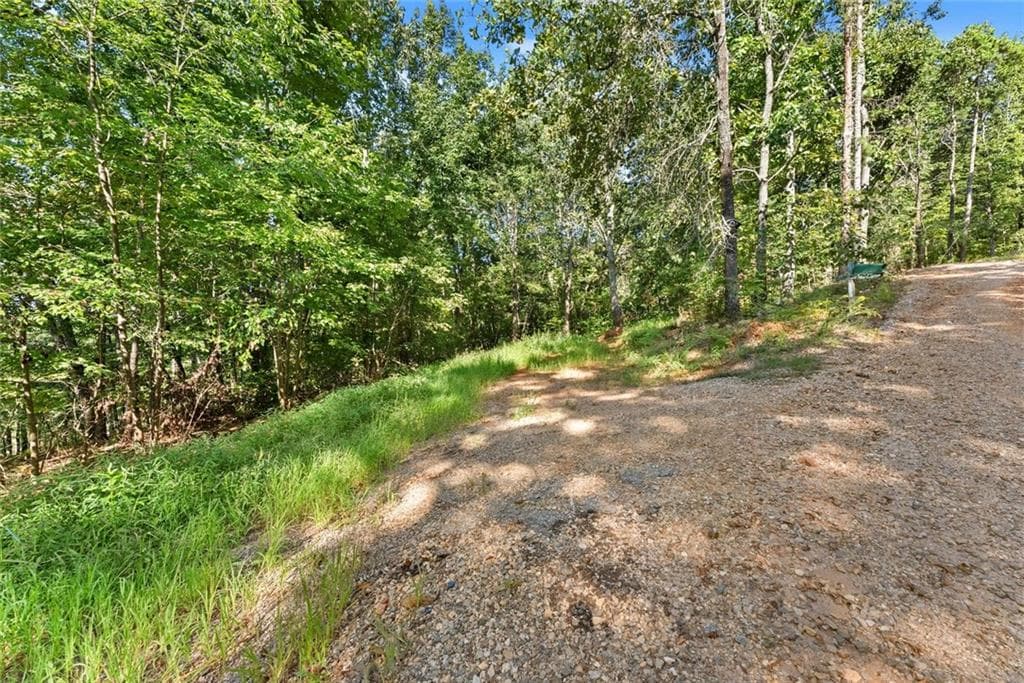 other for sale at 375 Mountain Crest Drive, Clarkesville, GA 30523 — photo 8