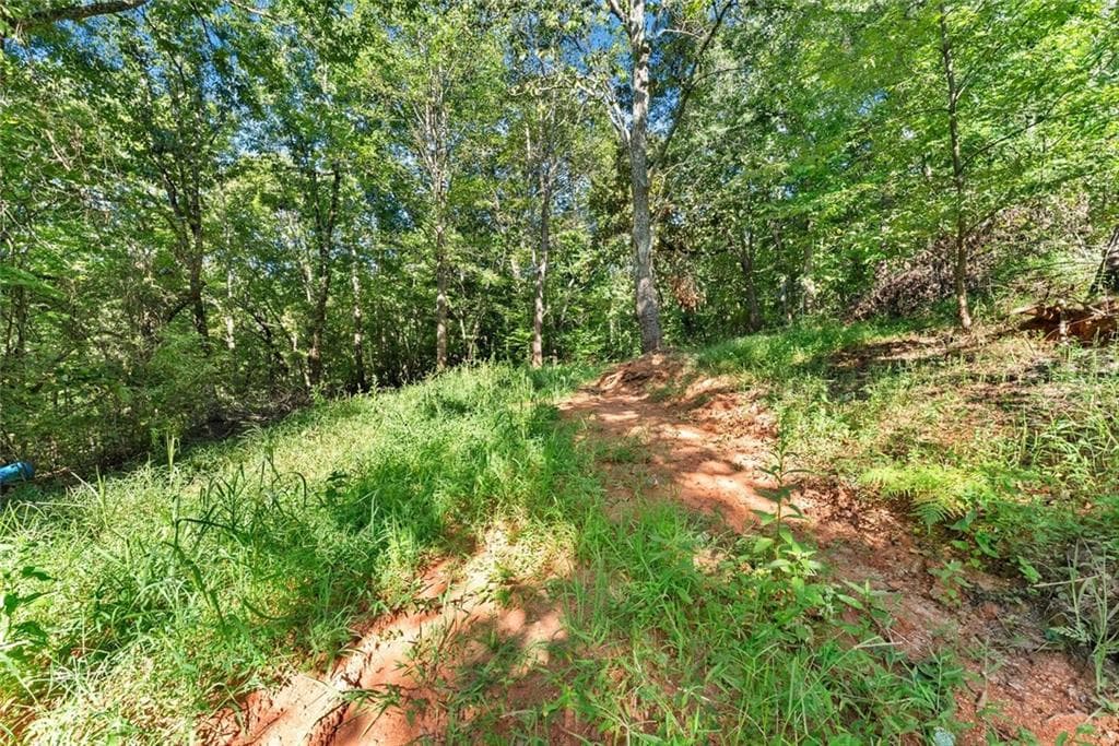 other for sale at 375 Mountain Crest Drive, Clarkesville, GA 30523 — photo 9