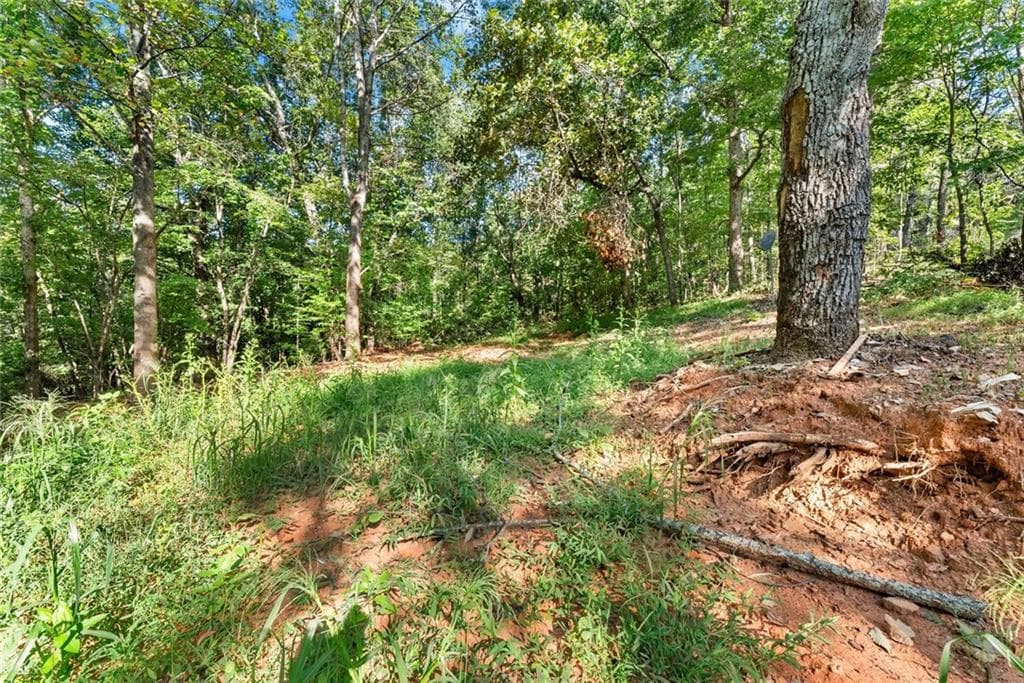other for sale at 375 Mountain Crest Drive, Clarkesville, GA 30523 — photo 10