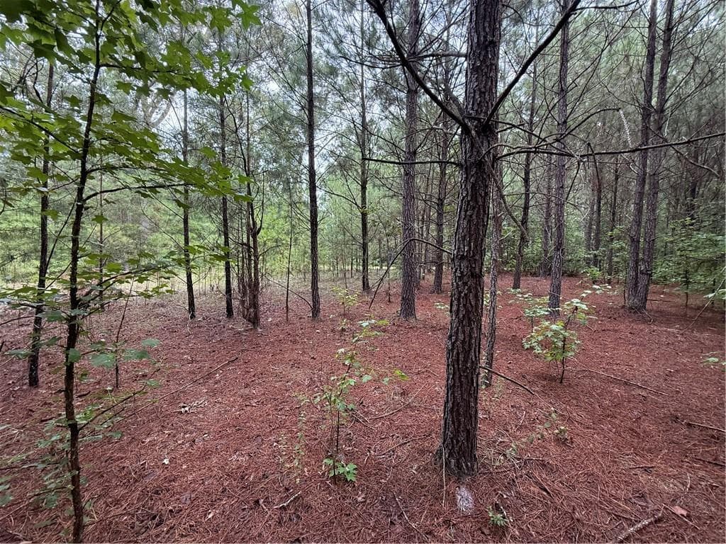 other for sale at 0 Livingston Rd, Rome, GA 30161 — photo 4