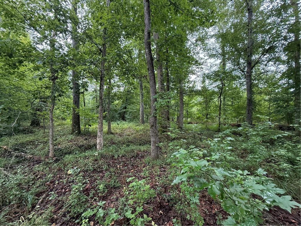 other for sale at 0 Livingston Rd, Rome, GA 30161 — photo 5