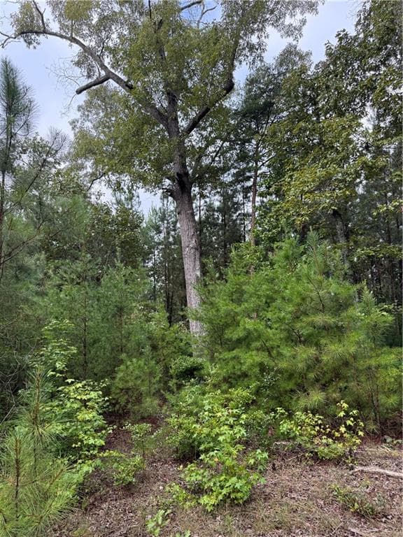 other for sale at 0 Livingston Rd, Rome, GA 30161 — photo 9