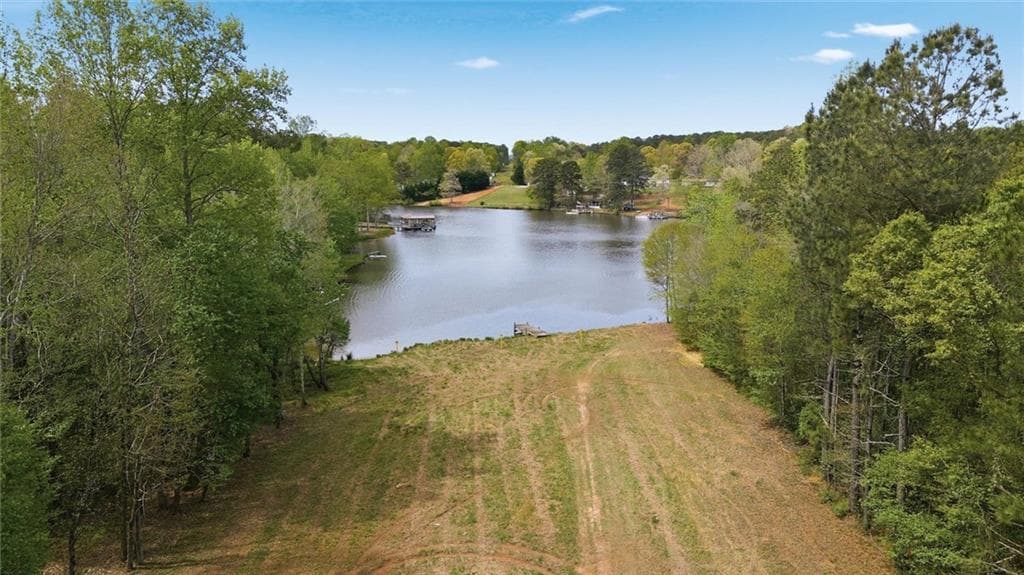 unimproved land for sale at 87 Wildwood Drive, Temple, GA 30179 — photo 5