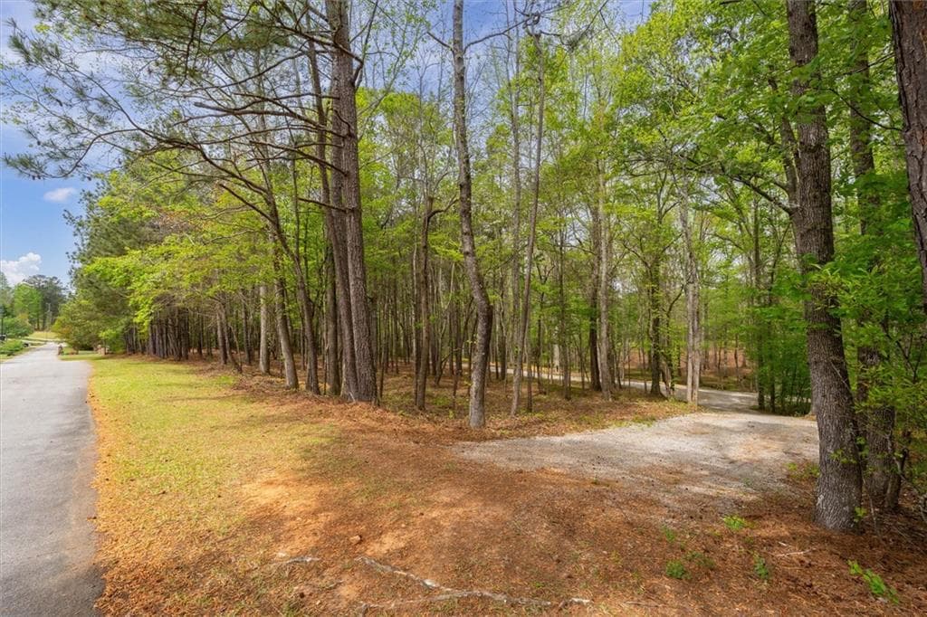 unimproved land for sale at 87 Wildwood Drive, Temple, GA 30179 — photo 7