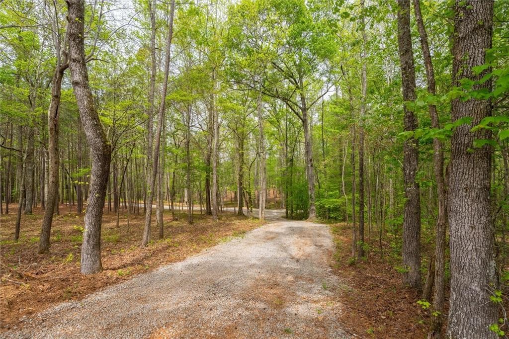 unimproved land for sale at 87 Wildwood Drive, Temple, GA 30179 — photo 8
