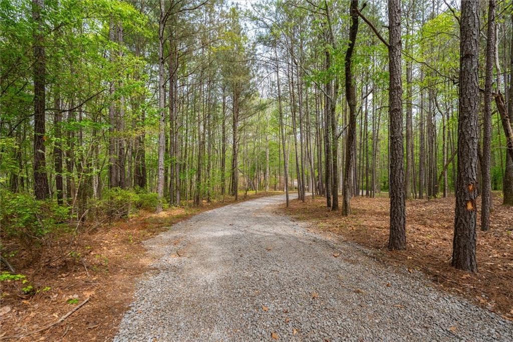 unimproved land for sale at 87 Wildwood Drive, Temple, GA 30179 — photo 9