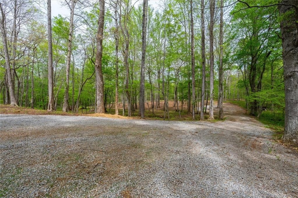 unimproved land for sale at 87 Wildwood Drive, Temple, GA 30179 — photo 10