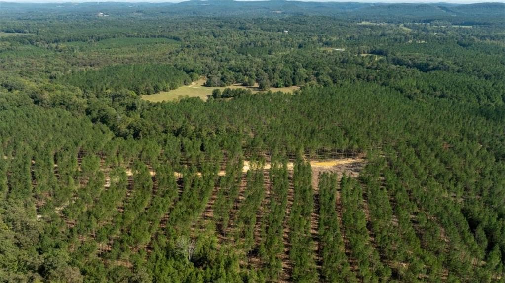 unimproved land for sale at 0 SW Livingston Rd, Rome, GA 30161 — photo 1 of 3