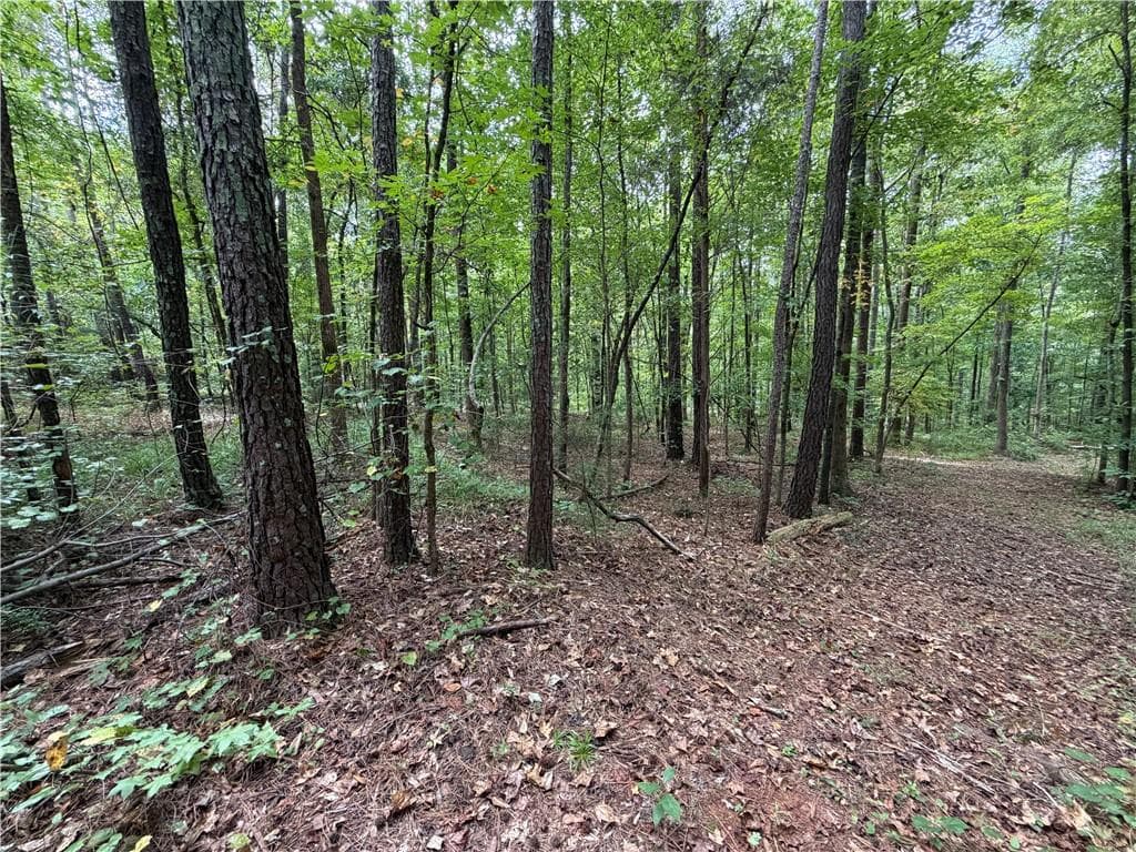 3 bedroom, 2 bathroom, 1,326 sq ft single family residence for sale at 301 Wolf Creek Place, Locust Grove, GA 30248 — photo 5