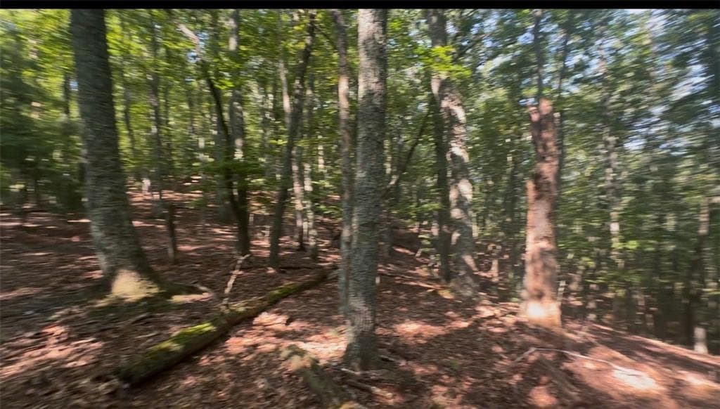 unimproved land for sale at 0 Brooks Ridge Road, Mineral Bluff, GA 30559