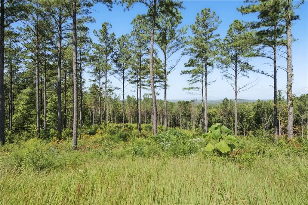 single family residence under contract at 0 Lacey Springs Lane, Ellijay, GA 30540 — photo 3