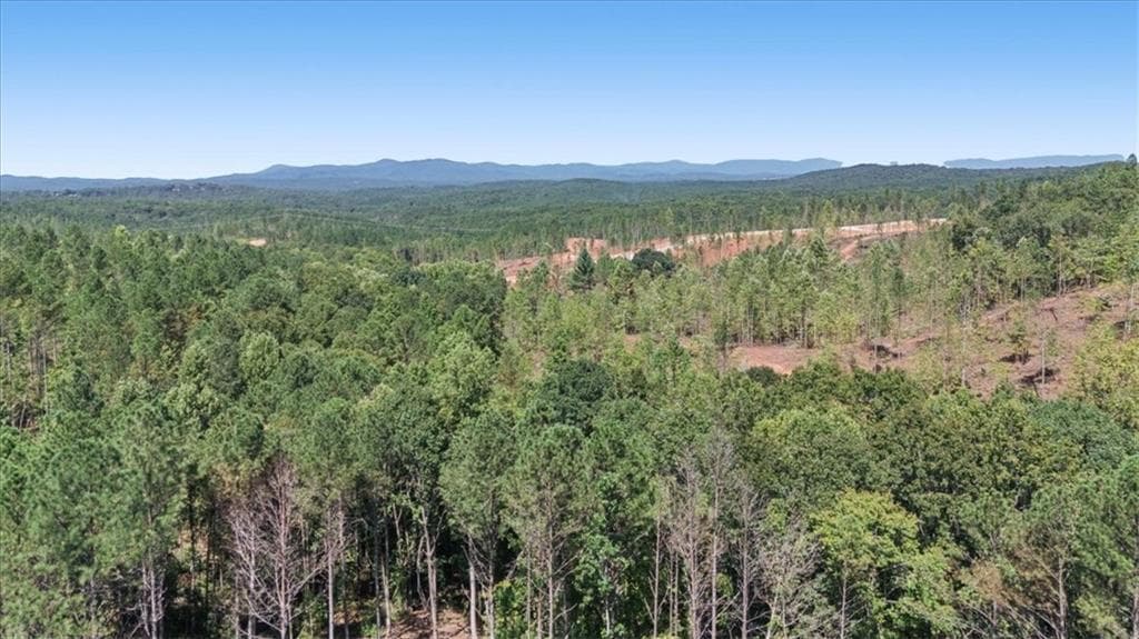 single family residence under contract at 0 Lacey Springs Lane, Ellijay, GA 30540 — photo 10