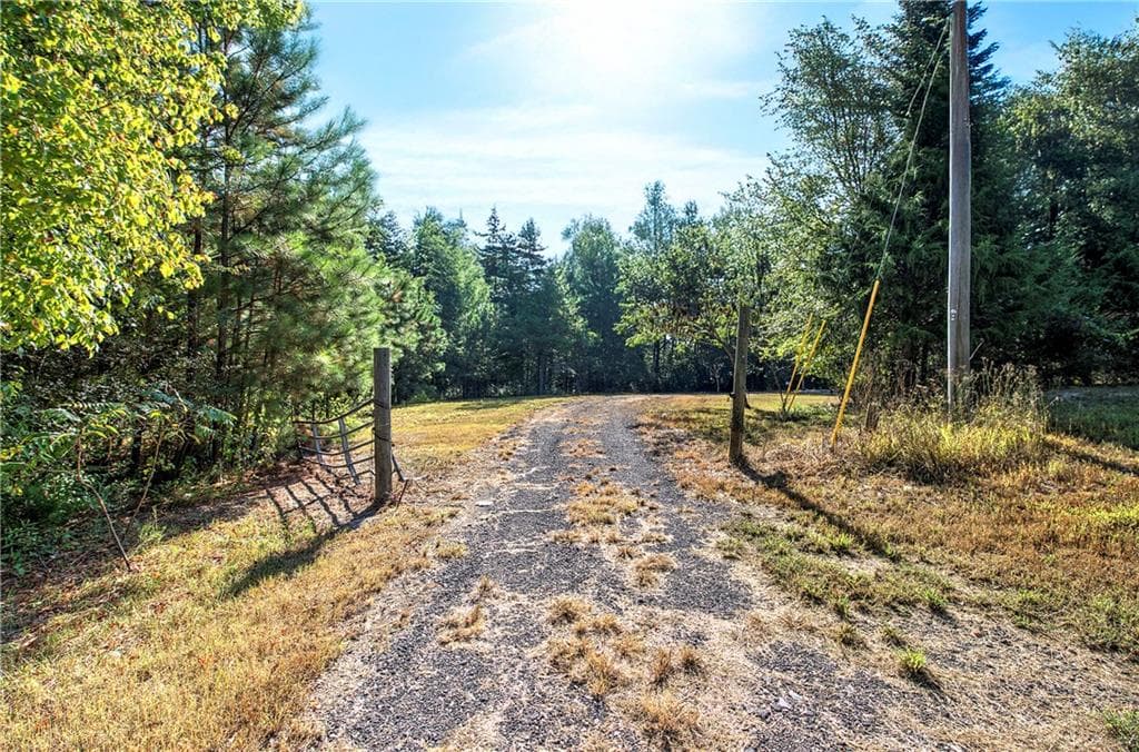 unimproved land for sale at 01 Cornelius, Cedartown, GA 30125 — photo 3