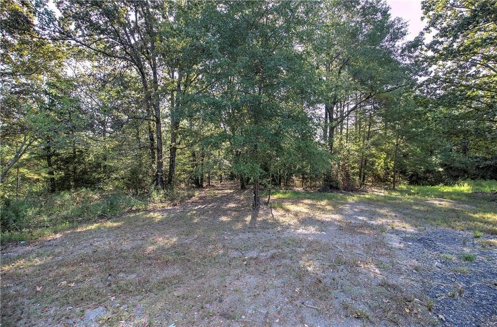 unimproved land for sale at 01 Cornelius, Cedartown, GA 30125 — photo 4