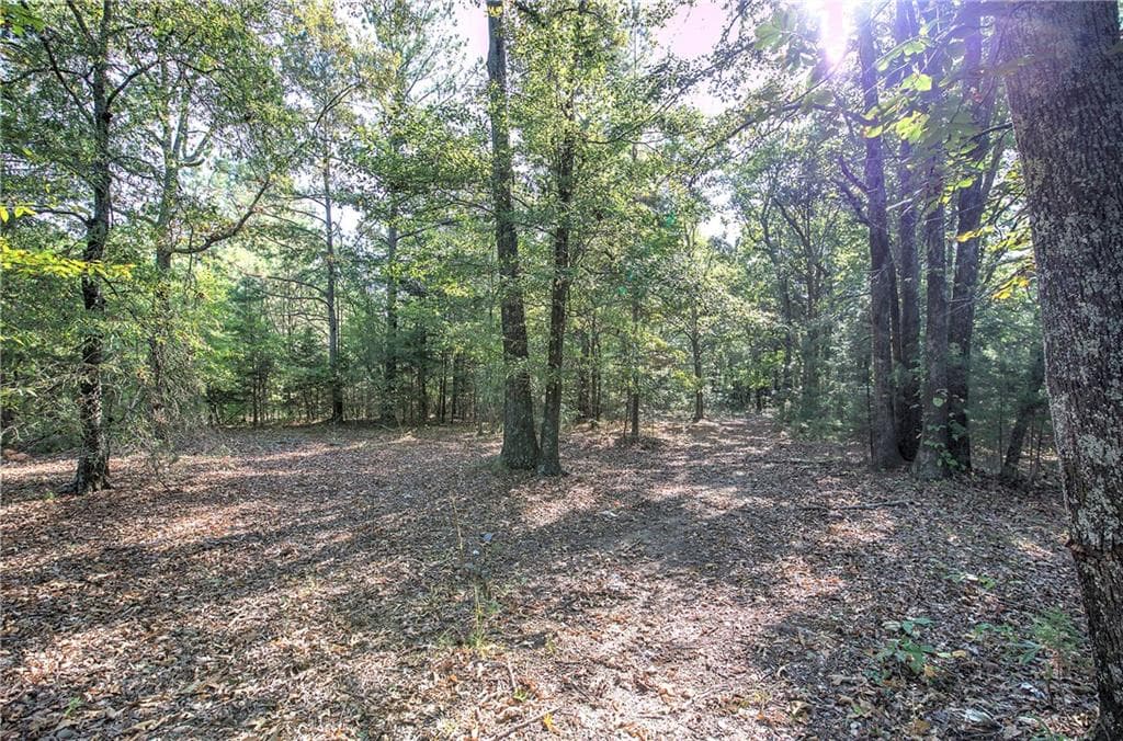 unimproved land for sale at 01 Cornelius, Cedartown, GA 30125 — photo 5