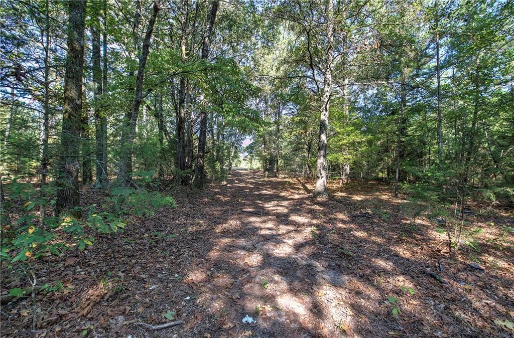 unimproved land for sale at 01 Cornelius, Cedartown, GA 30125 — photo 6