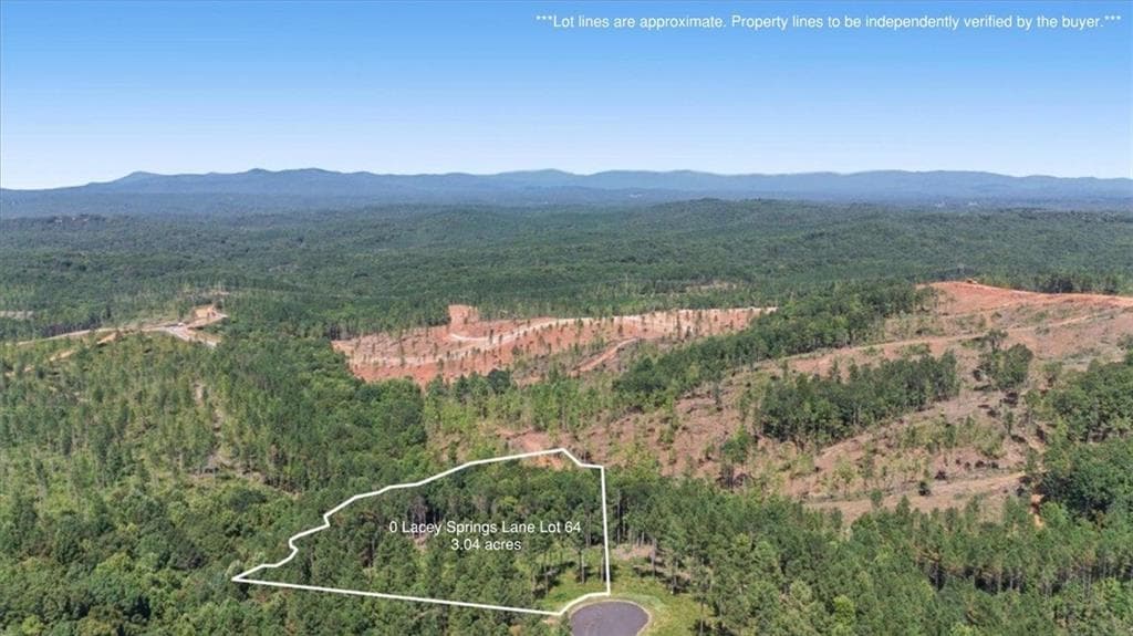 single family residence under contract at 0 Lacey Springs Lane, Ellijay, GA 30540 — photo 6