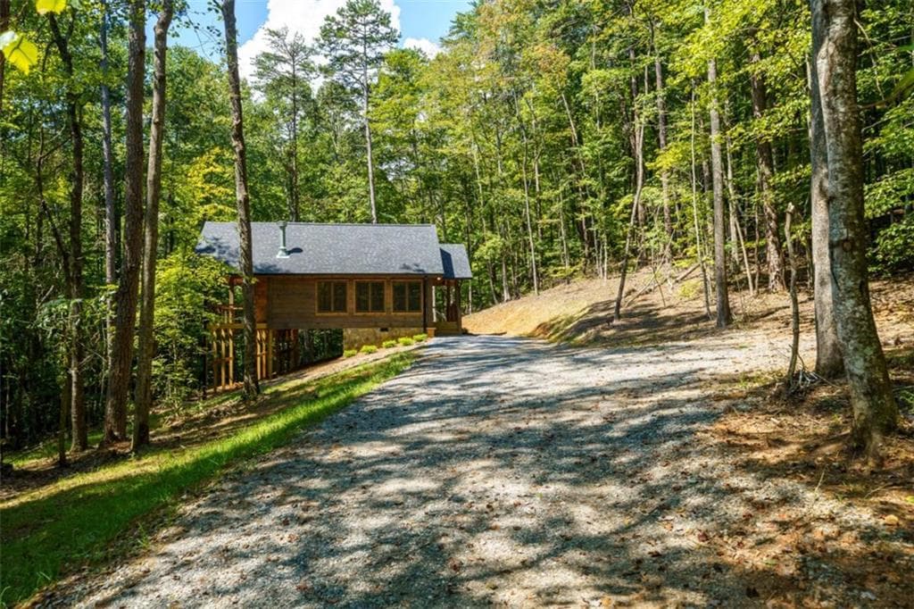 2 bedroom, 2 bathroom, 1,102 sq ft single family residence for sale at LT 639 Moreland Drive, Cherry Log, GA 30522 — photo 6