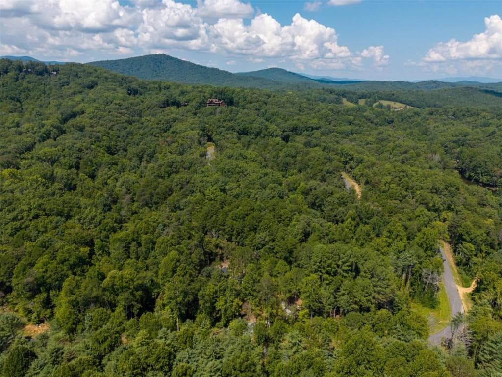 2 bedroom, 2 bathroom, 1,102 sq ft single family residence for sale at LT 639 Moreland Drive, Cherry Log, GA 30522 — photo 9