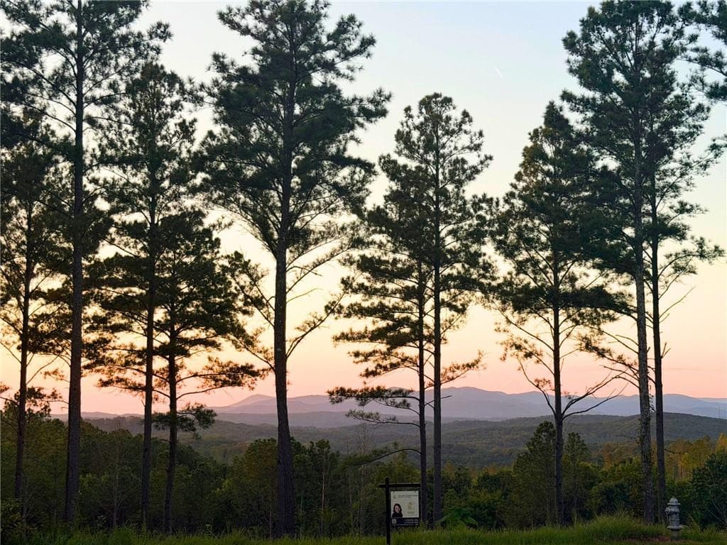 single family residence under contract at 0 Lacey Springs Lane, Ellijay, GA 30540 — photo 1 of 25