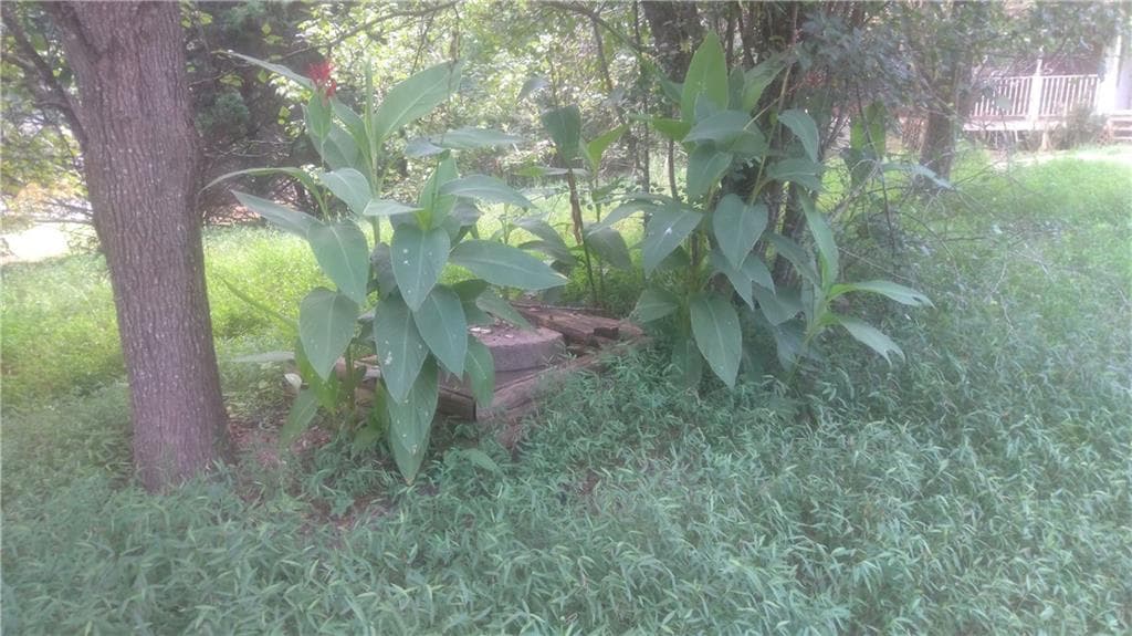 3 bedroom, 1 bathroom, 1,120 sq ft single family residence for sale at 110 Mountainside Drive, Dawsonville, GA 30534 — photo 6