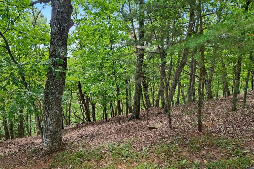 single family residence for sale at 3108 Falcon Heights, Big Canoe, GA 30143 — photo 2