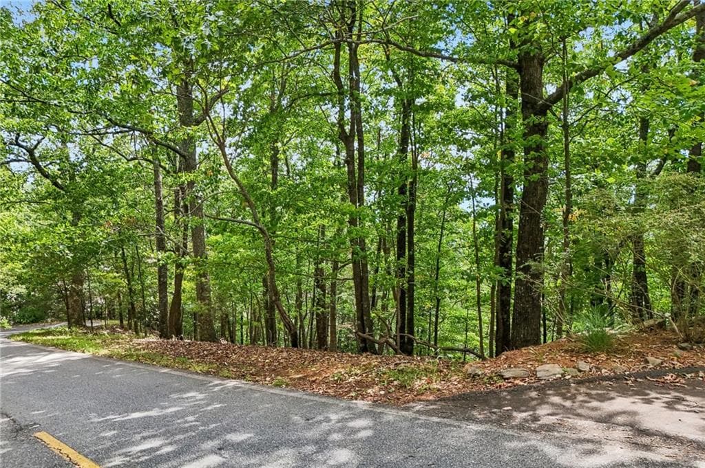 single family residence for sale at 3108 Falcon Heights, Big Canoe, GA 30143 — photo 4