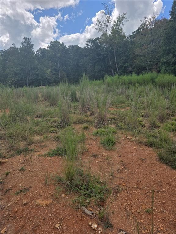 other for sale at 888 Forrester Cemetery Road, Covington, GA 30014 — photo 1 of 4