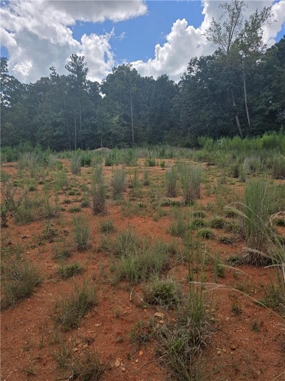 other for sale at 888 Forrester Cemetery Road, Covington, GA 30014 — photo 2