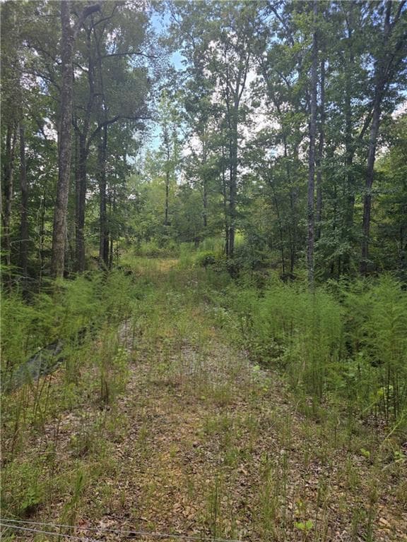 other for sale at 888 Forrester Cemetery Road, Covington, GA 30014 — photo 3